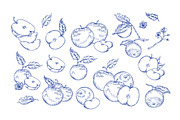 Vintage apples, hand drawn set, a Food Illustration by Good Studio (Thumbnail 2 of 5)