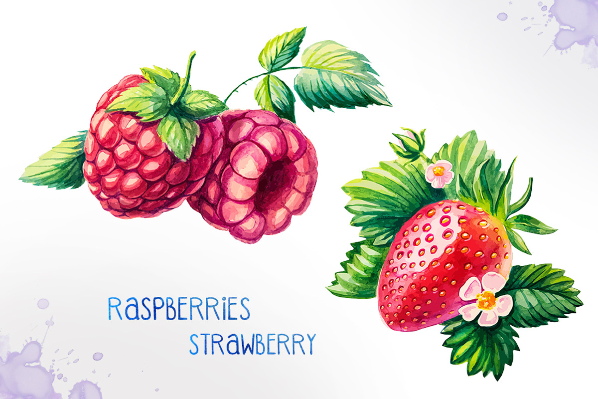 Watercolor berries, an Illustration by AlexGreenArt (Photo 4 of 4)