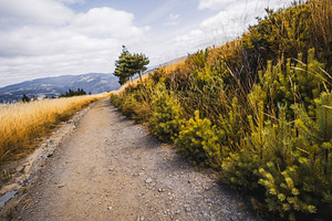 Mountain trail in Asturias, a Nature Photo by SkyNext