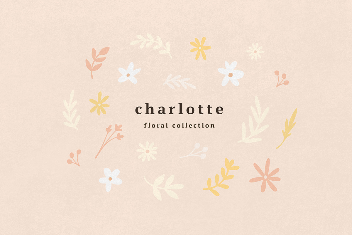 Charlotte Floral Collection, an Illustration by Emilie Cliche (Photo 1 of 8)