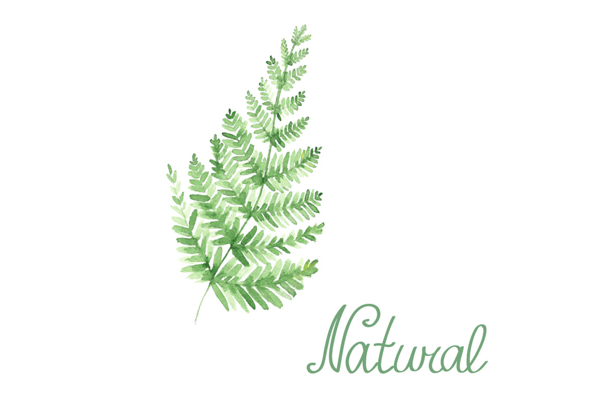 Vector watercolor natural set, a Graphic by lycka (Photo 1 of 4)