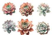 Watercolor Boho Succulents Clipart, an Illustration by Designworld (Thumbnail 4 of 5)