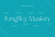Angelic - Modern Stylish, a Serif Font by RockboyStd (Thumbnail 8 of 12)