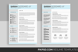 10 Clean Resume/CV Bundle