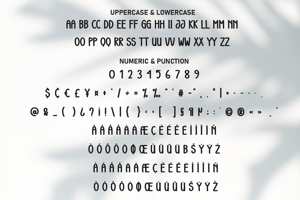 Overlay | Script Font, a Script Font by Scratchones (Photo 7 of 8)