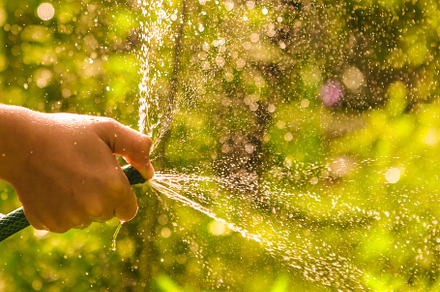 Kid hands hold hose with squirting stock photo containing wet and water