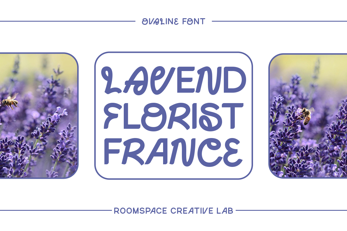 Ovaline - Modern Aesthetic Font, a Sans Serif Font by roomspace creative lab (Photo 5 of 9)