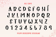Plum Blossoms Font Duo, a Script Font by AnningArts (Thumbnail 6 of 8)