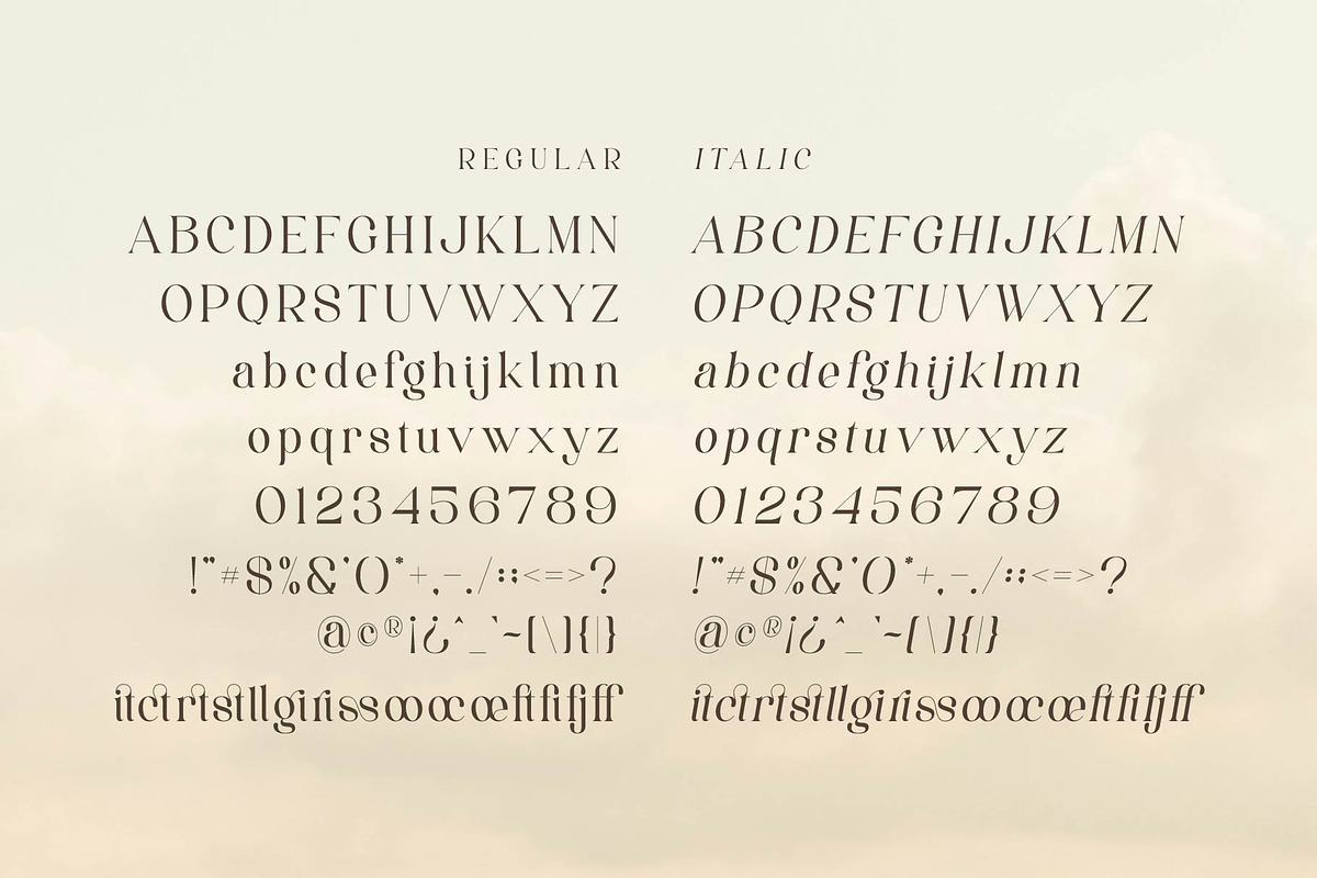 Saitago - Classy Serif Font, a Serif Font by Aqeel_Art (Photo 8 of 9)