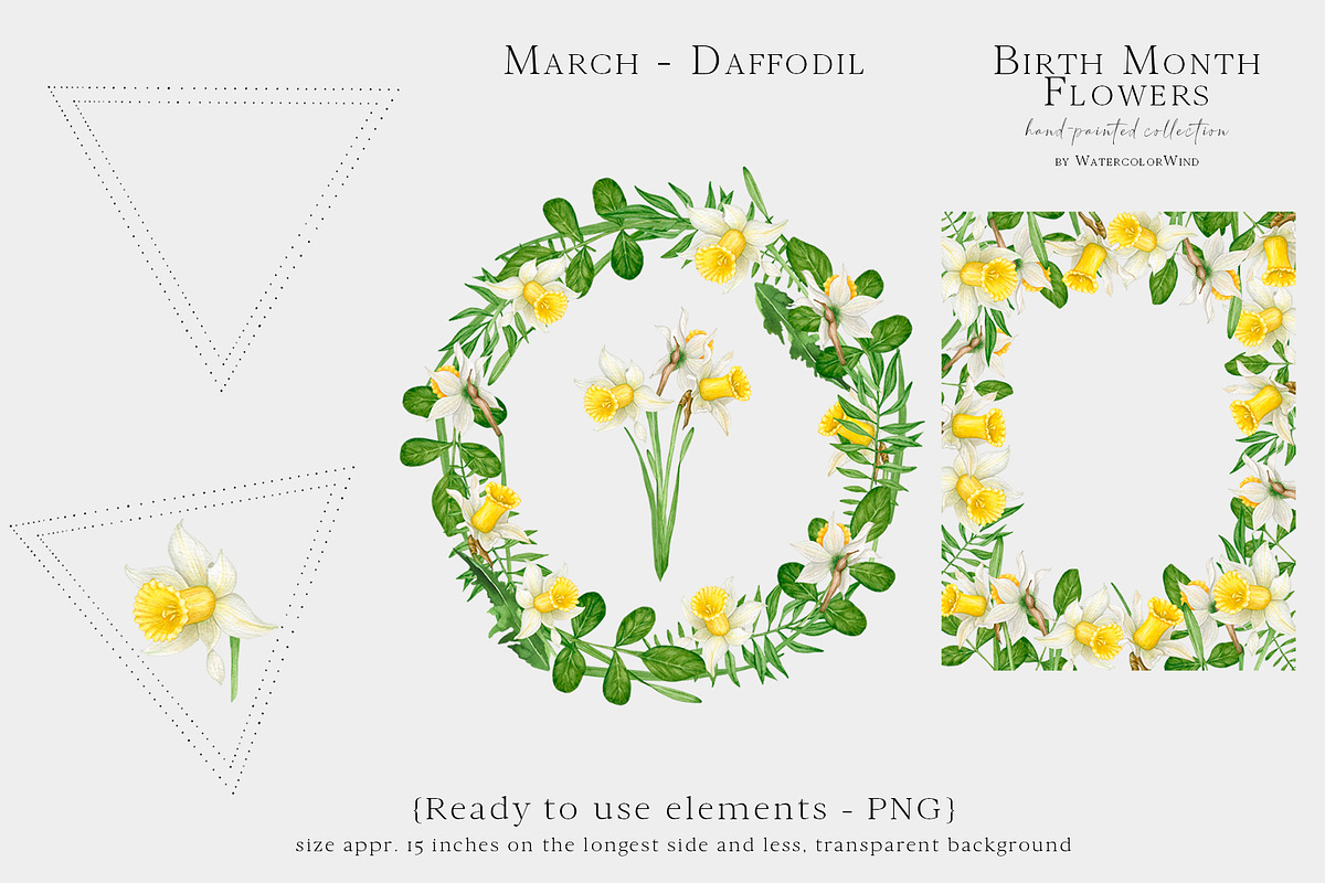Daffodil Birth Month Flower Clipart, an Illustration by Ksenia Shmakova (Photo 4 of 7)