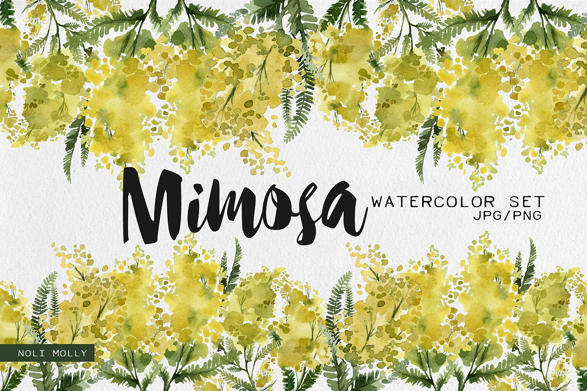 Mimosa. Yellow watercolor flowers., an Illustration by Noli Molly Store (Photo 1 of 6)