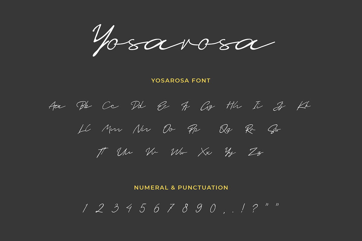 Yosarosa Signature Font, a Script Font by UICreative (Photo 2 of 5)