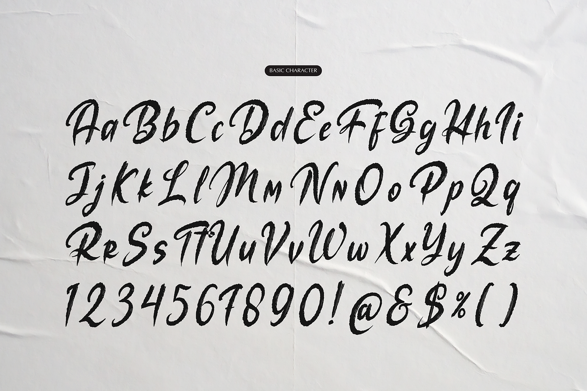 The Mollina | Solid Hand Drawn Brush, a Handwritten Font by gracetype_studio (Photo 10 of 12)