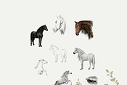 Freedom. Hand painted - horses., an Animal Illustration by Youksy (Thumbnail 6 of 8)