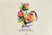Watercolor Flowers and bird, a Decorative Illustration by Karliefie (Thumbnail 2 of 2)