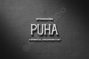 Puha | Modern Elegant Serif Typefac, a Serif Font by Astuti Studio (Thumbnail 1 of 16)