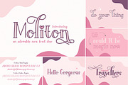 The HUGE Font Bundle (98% OFF) SALE, a Sans Serif Font by Salt & Pepper Designs (Thumbnail 68 of 185)