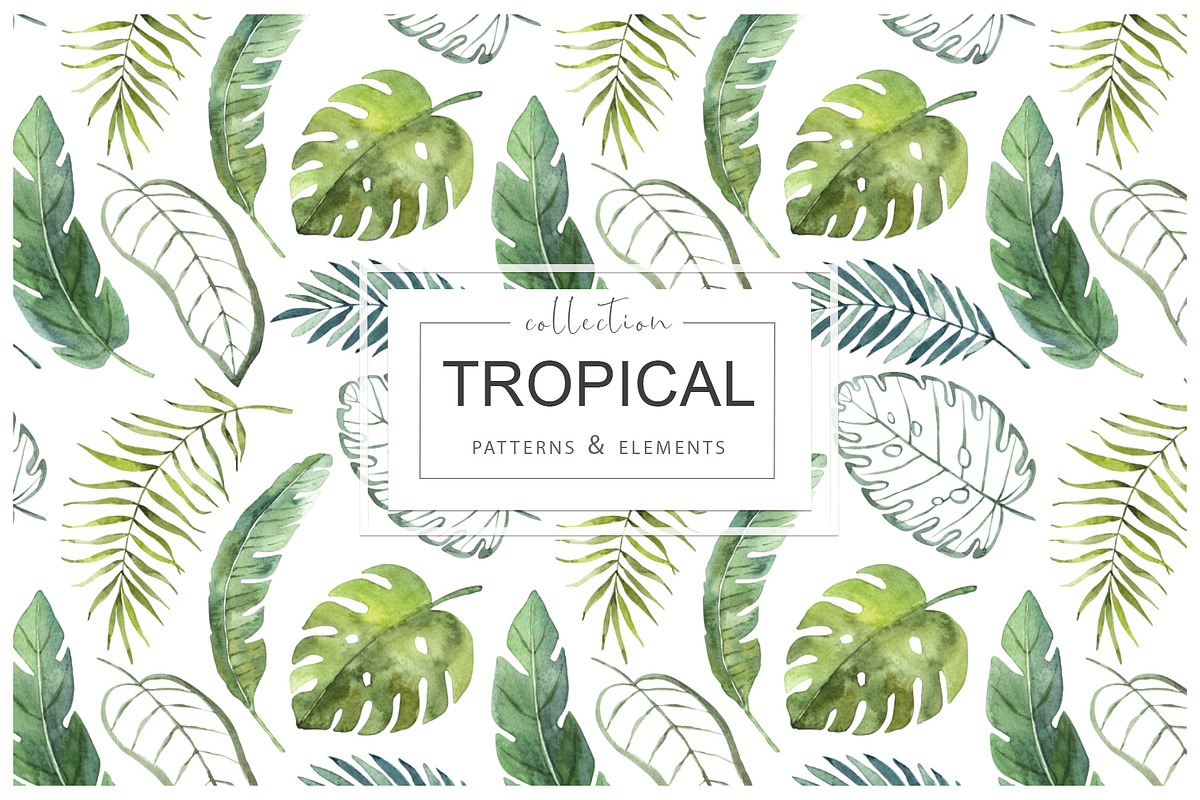 Tropical watercolor collection., a Pattern Graphic by BrushArtDesigns (Photo 1 of 13)