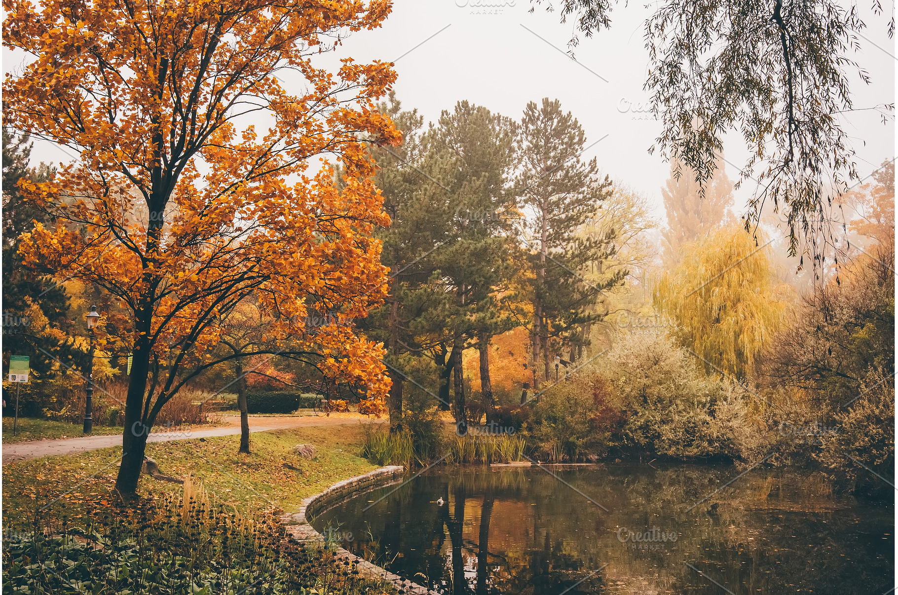 Golden landscape in a park, a Nature Photo by Yummypic