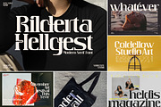 SALE! Mega Bundle 50+ Modern Font!, a Serif Font by Storytype Studio (Thumbnail 39 of 53)