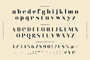 Madrich - Modern Serif Font, a Serif Font by Almeera Std (Thumbnail 4 of 10)