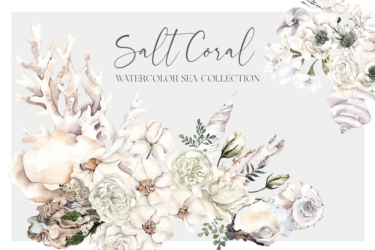 Salt Coral. Sea shell and flowers., an Object Illustration by ma_i_vi (Photo 1 of 12)