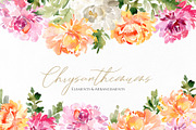 Fall Watercolor Chrysanthemums, a Decorative Illustration by GraphicsDish (Thumbnail 1 of 3)