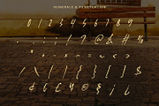 Figuea Granatae - Handwritten Script, a Script Font by Randi Irvan | Rvandtype (Thumbnail 11 of 12)