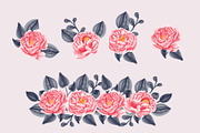 peonies watercolor set collection, an Object Graphic by Mariyana (Thumbnail 2 of 4)