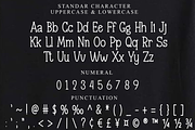 Simple Alphabet, a Sans Serif Font by FreshTypeINK (Thumbnail 7 of 8)