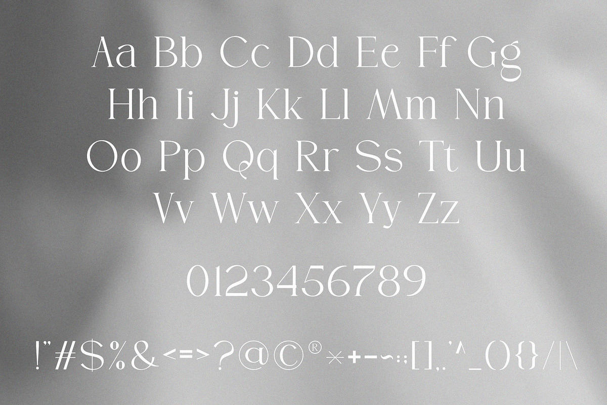 Braven | A Modern Serif Typeface, a Serif Font by ToniStudio (Photo 8 of 10)