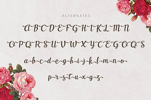 Casseron - Lovely Script Typeface