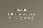Drifter, a Script Font by Bruised Goods (Thumbnail 5 of 6)