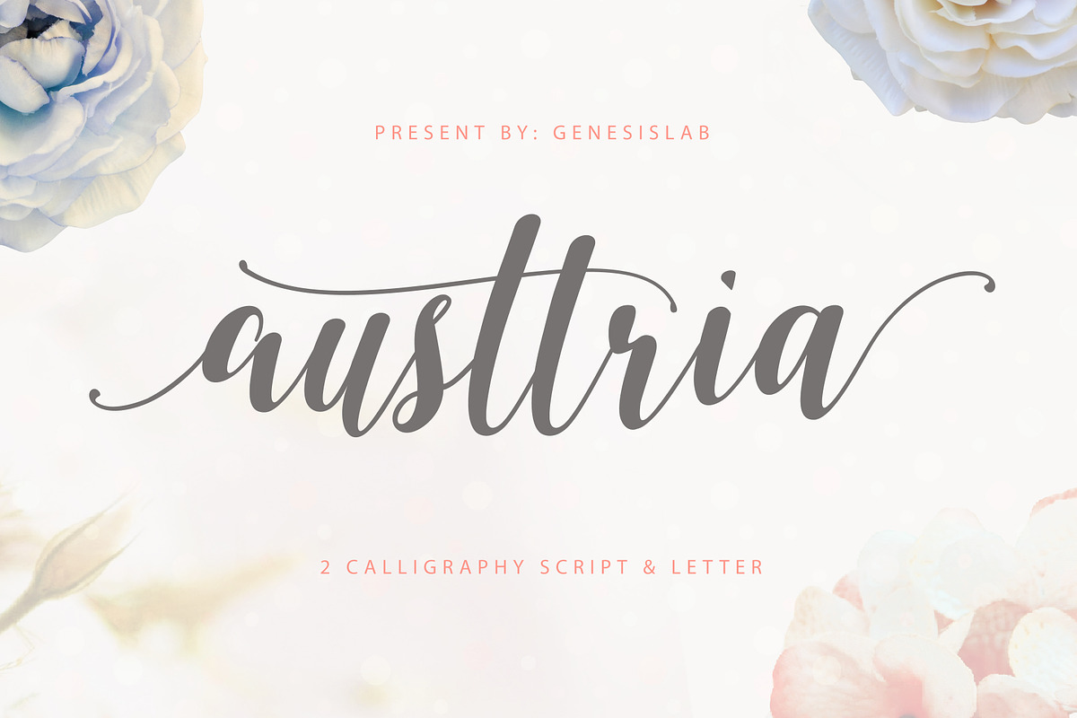 Calligrapher's  Font Bundle (98%Off), a Script Font by Genesis Lab (Photo 17 of 44)