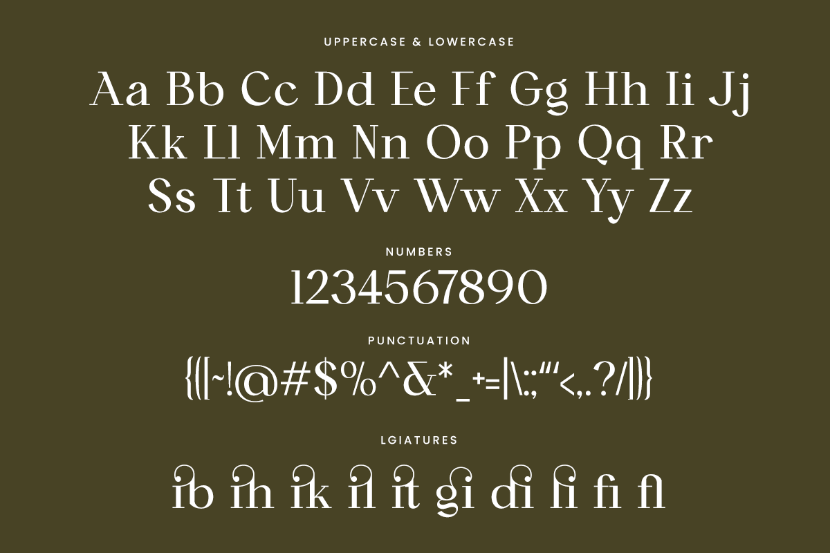 Canilera - Luxury Ligature Serif, a Serif Font by RagamKata (Photo 10 of 10)