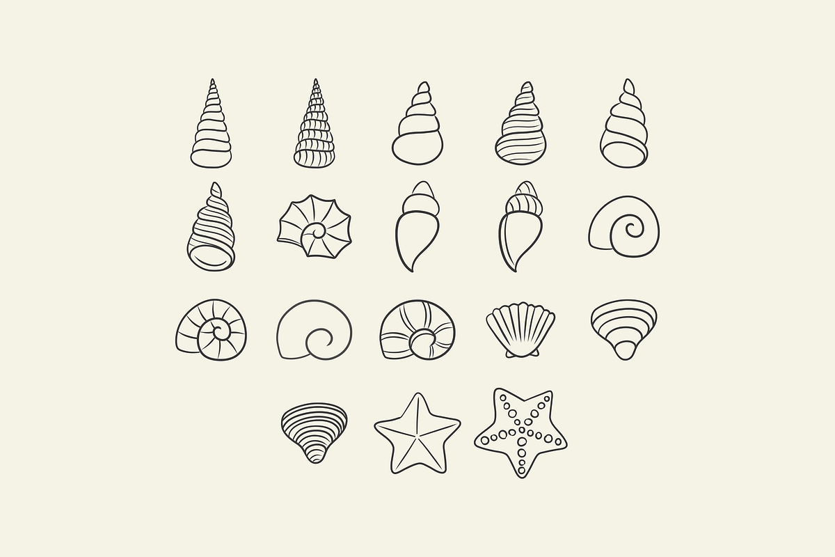 Hand Drawn Seashell Illustrations, an Illustration by HonestiesPrintS (Photo 2 of 2)