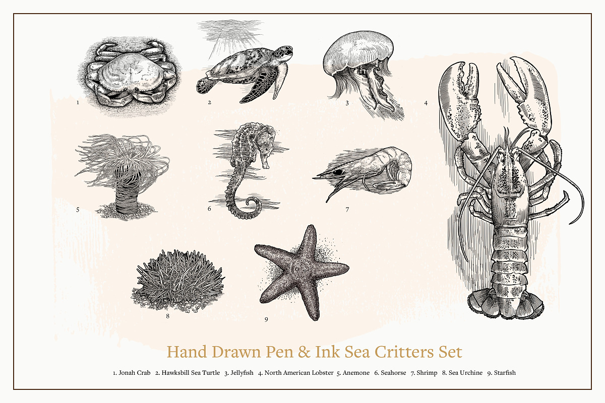 Hand Drawn Sea Critters Set, an Animal Illustration by Well Rock Designs (Photo 2 of 8)