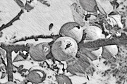 Pencil Sketch Portrait PS Action, an Action Add-On by MRI STUDIO (Thumbnail 12 of 12)
