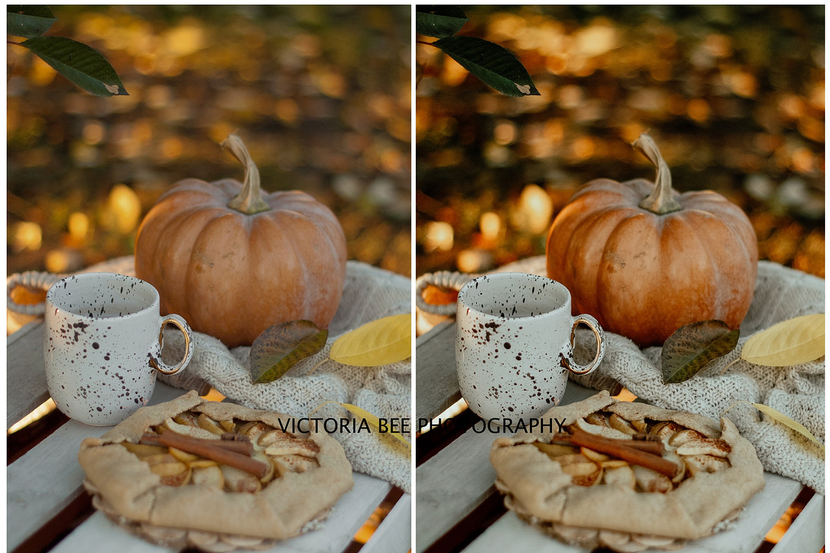 RICH AUTUMN LIGHTROOM PRESETS, a Preset Add-On by Victoria Bee Presets (Photo 5 of 9)