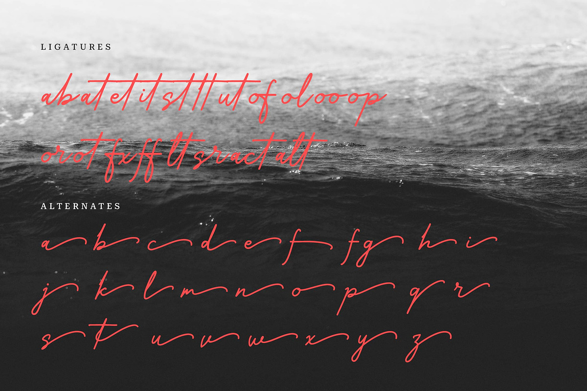 Maffenia Farmales | Monoline Stylish, a Script Font by Denustudios (Photo 12 of 14)