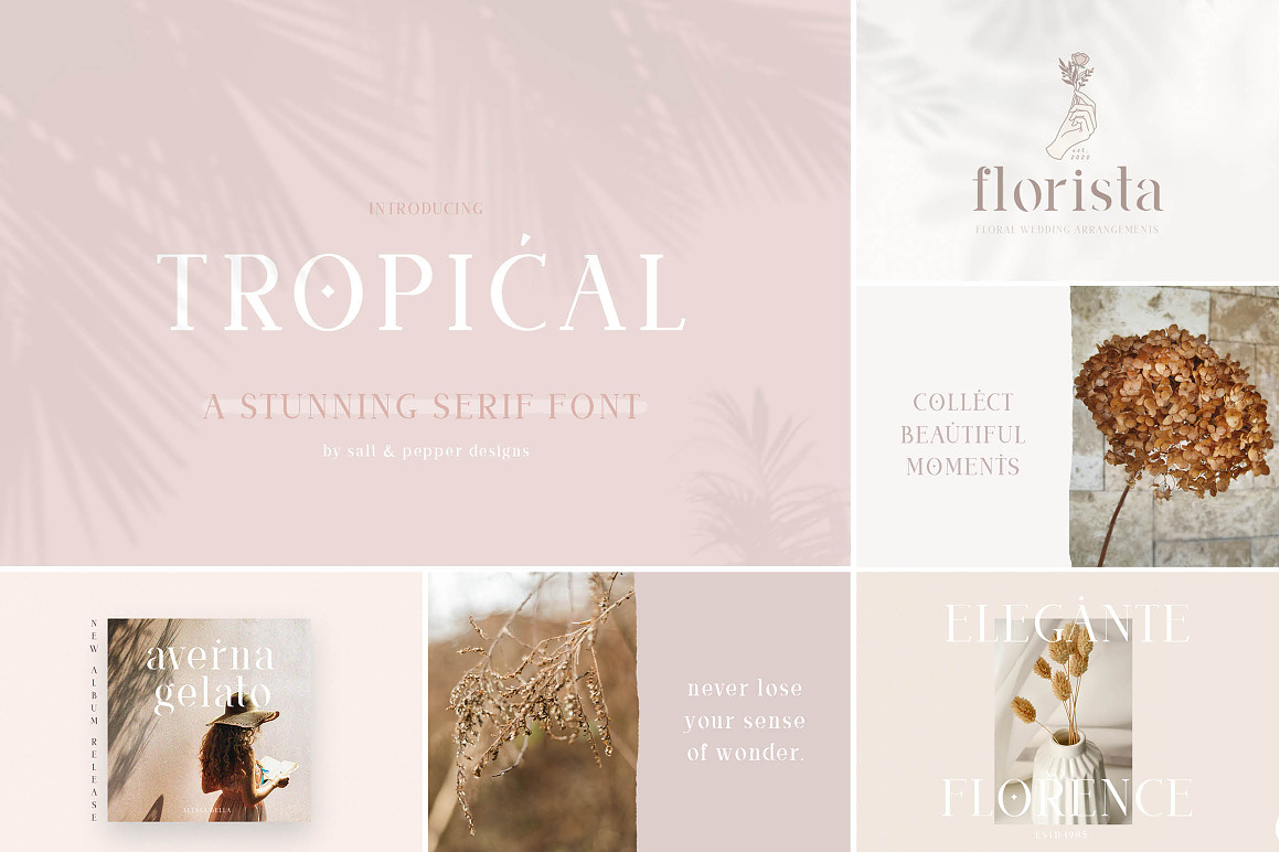 The HUGE Font Bundle (98% OFF) SALE, a Sans Serif Font by Salt & Pepper Designs (Photo 15 of 185)