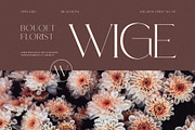 Maven Elegant Serif Font Typeface, a Serif Font by Perfectype (Thumbnail 4 of 10)
