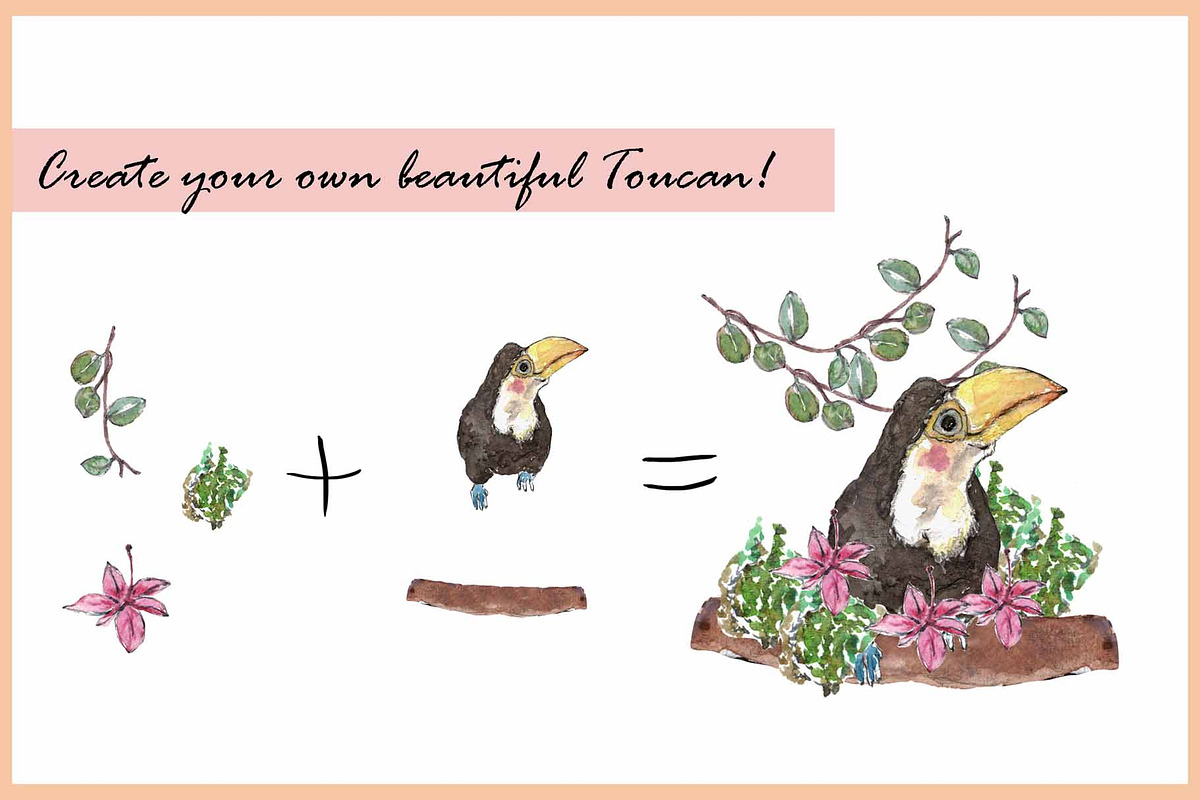 Rhino & Toucan-Watercolor Clipart, an Illustration by VianneArt (Photo 5 of 7)