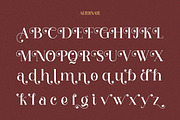 Holybirth - Modern Aesthetic Serif, a Serif Font by Qweera Studio (Thumbnail 9 of 12)