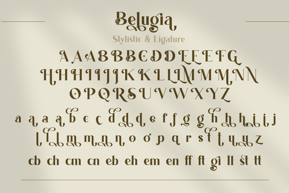 Belugia | Elegant Display Serif, a Serif Font by Rissyletter Studio (Photo 9 of 10)