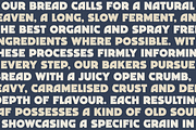 Marche Display Font, a Serif Font by Studio Clay (Thumbnail 5 of 10)