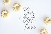 Fall pumpkin flat lay photo stock photo containing fall flat lay and fall, a Holiday Photo by SLS Design Co. (Thumbnail 1 of 2)