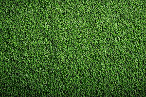 Intense green turf background banner, a Nature Photo by MistyDay