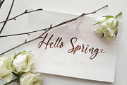 The Austin - Handwritten Script Font, a Script Font by StringLabs (Thumbnail 9 of 11)