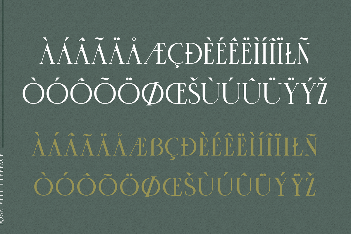 Rose Velt, a Serif Font by ilhamtaro (Photo 8 of 9)